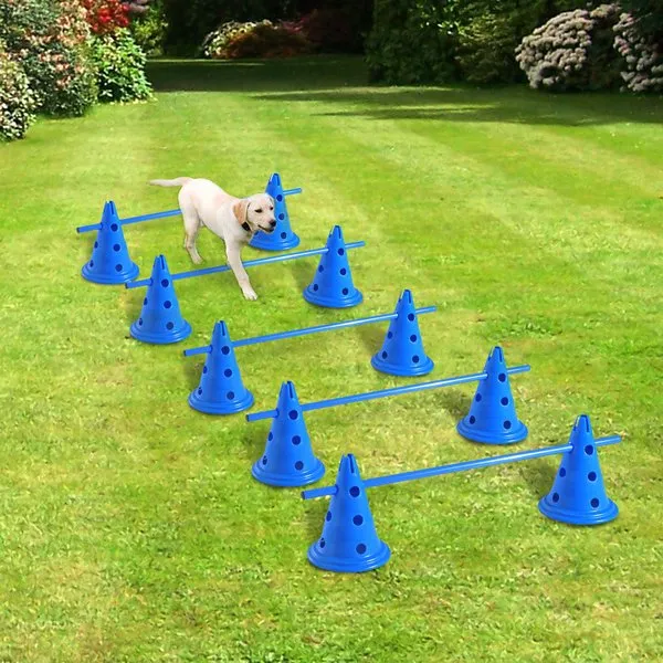 4 Set of Dog Agility Equipment Jumps Kit - Blue