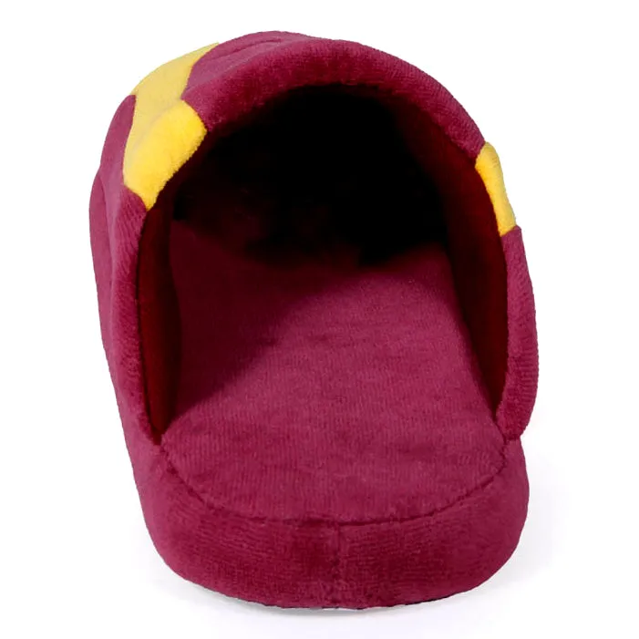 Minnesota Golden Gophers Low Pro Indoor House Slippers